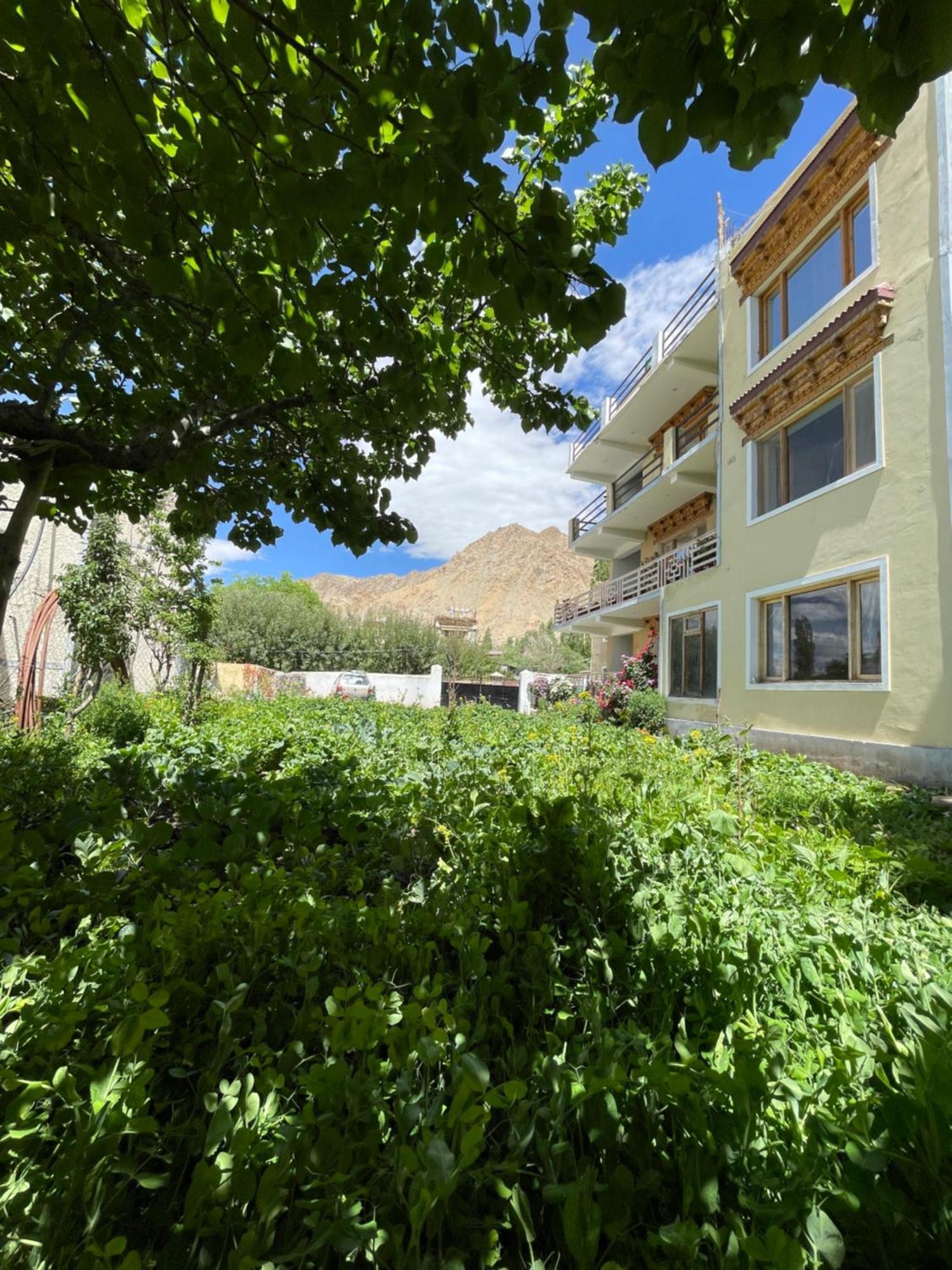 Zlatan Guest House Leh Exterior photo