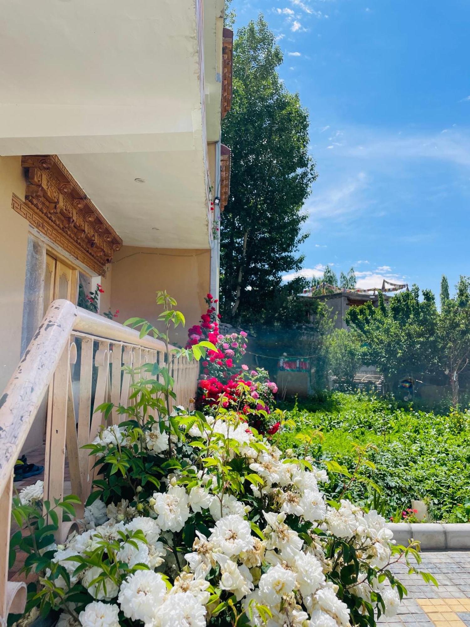 Zlatan Guest House Leh Exterior photo